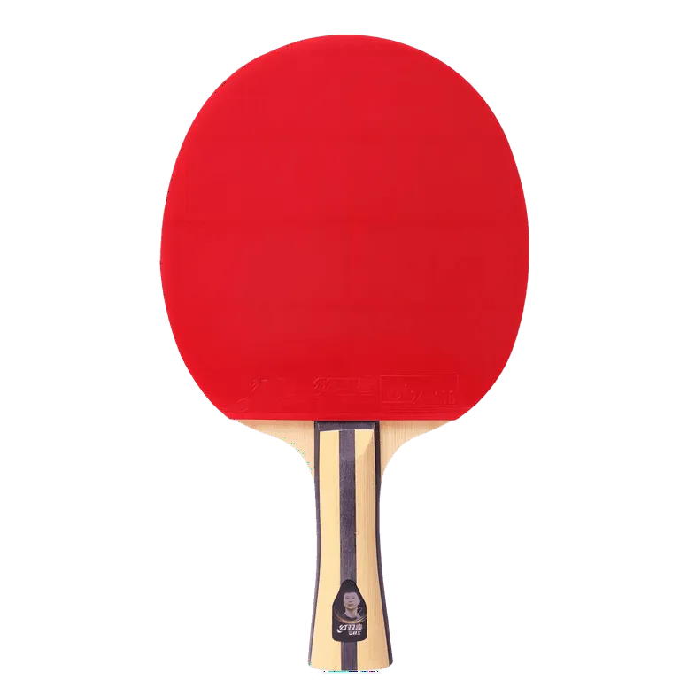 DHS 4002 Table Tennis Paddle