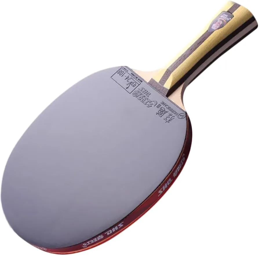 DHS 4002 Table Tennis Paddle