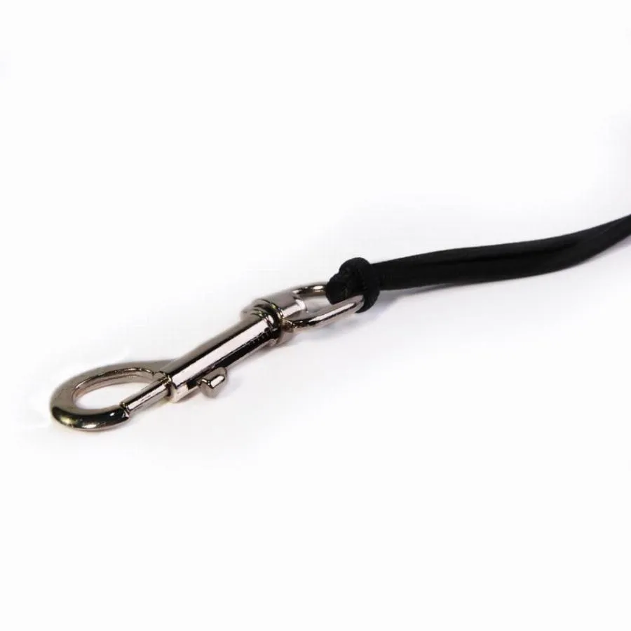 Dog's Hand Free Bicycle Leash