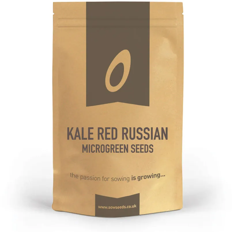 Kale Red Russian Microgreens Seeds