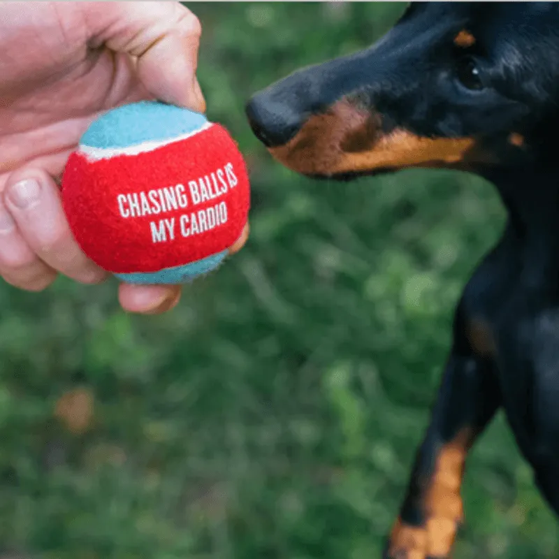 P.L.A.Y. Tennis Balls
