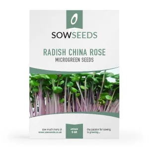 Radish China Rose Microgreens Seeds
