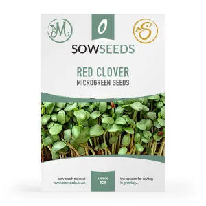 Red Clover Microgreens Seeds