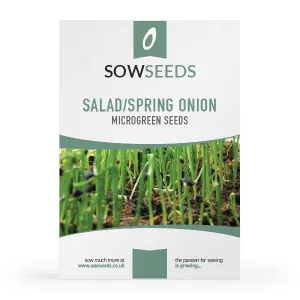 Salad/Spring Onion Microgreens Sprouting Seeds