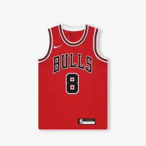 Zach LaVine Chicago Bulls Icon Edition Youth Swingman Jersey - Red